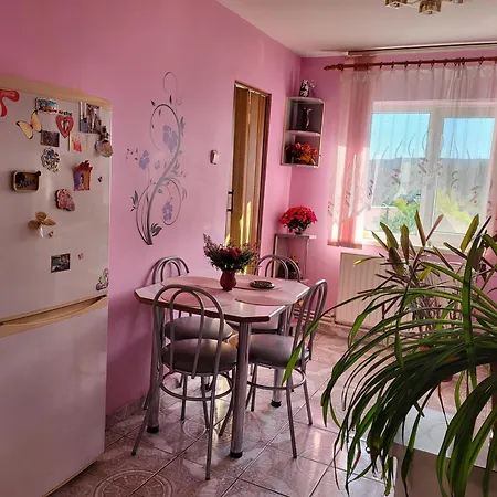 Apartment Anca's Apart *