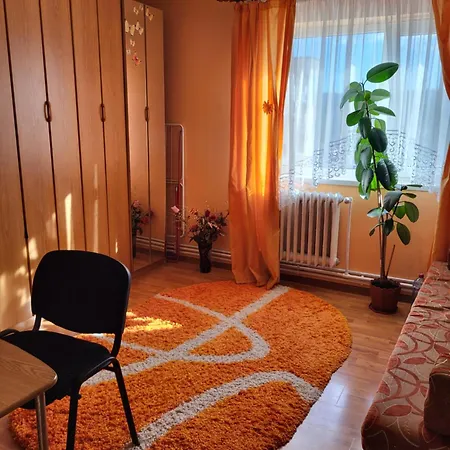 Anca's Apart Apartment